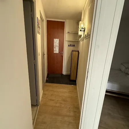 Pied De Pistes A Apartament